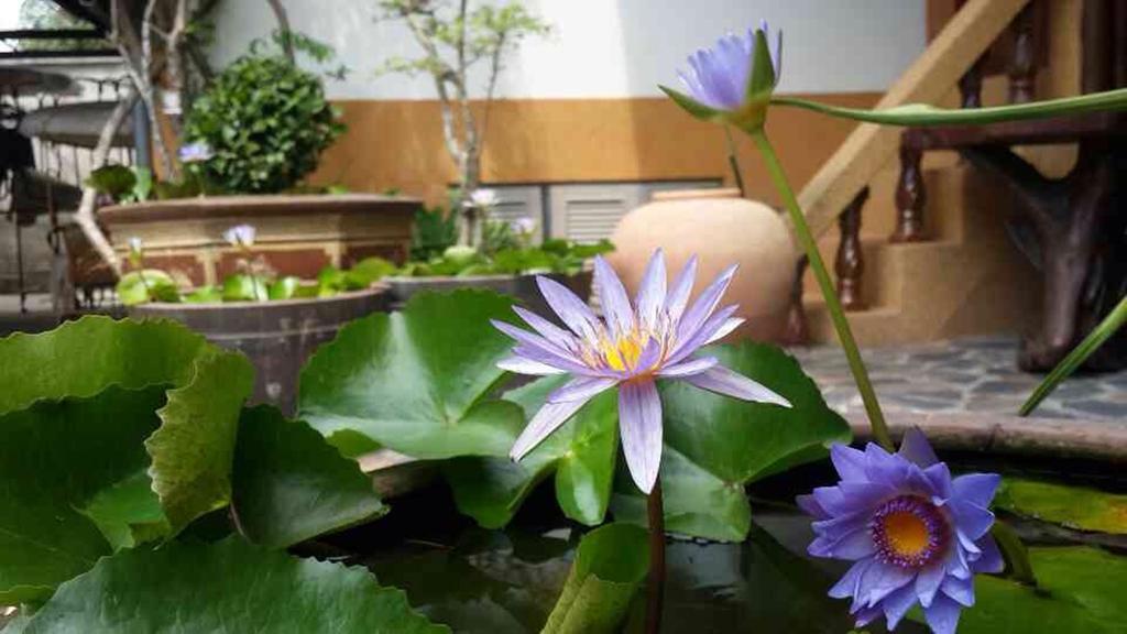 Baan Sala Lung Dam Hotel Bophut Kültér fotó